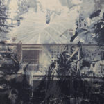 “Tropical house” di Francesco Patriarca