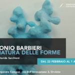 Antonio Barbieri. La Natura delle Forme
