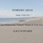 SYMPATRIC AREAS | Alice Schivardi | A suon di ali