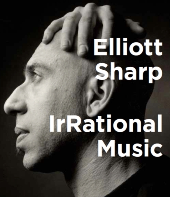 Elliott Sharp. Reading of IrRational Music at Erratum