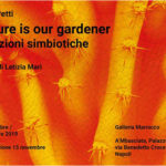 Luca Petti | Nature is our gardener. Relazioni simbiotiche