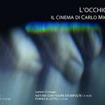 L'occhio naufrago - Il cinema di Carlo Michele Schirinzi