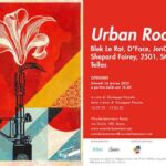 Wunderkammern Roma - "Urban Roots"