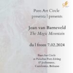 Joan van Barneveld - The magic mountain